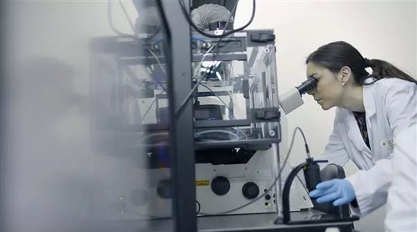 西班牙团队研究生物3D打印肌肉组织，将用于开发软体机器人。