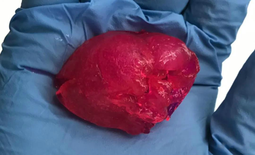 全球的3D打印心脏都到什么程度了？3D生物打印发展现状